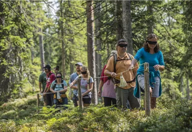 A group of people is hiking blind in a forest. They are following a rope and are surrounded by nature.