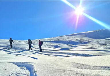 Three people are hiking on a snowy terrain. The sky is clear and the sun is shining brightly.