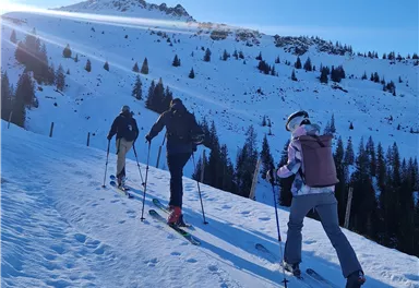 A group of skiers is hiking up a snow-covered slope. In the background, trees and a tall peak are visible.
