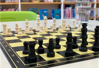 A chessboard with black and white pieces is on a table. In the background, shelves with books are visible.