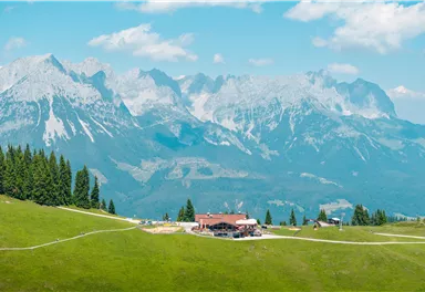 Ein Oldtimer-Fest auf der Tanzbodenalm mit einer Band, die auf einem alten Traktor spielt. Die Veranstaltung findet am Sonntag, den 7. Juli, statt und lädt Oldtimerfahrer und Besucher herzlich ein.