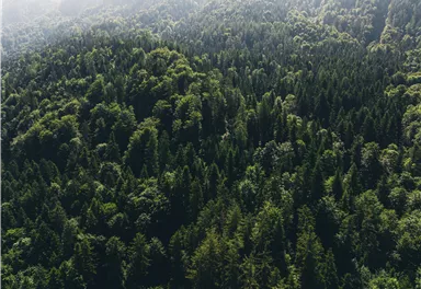 Eine Gruppe von vier Radfahrern steht auf einem Hügel und blickt auf die Berge. Sie feiern ihren Erfolg mit erhobenen Händen.