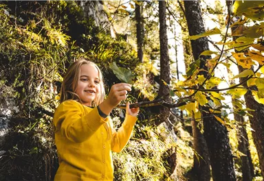 Ein fröhliches Kind in einem gelben Pullover hält ein Blatt in einem sonnigen Wald. Die Bäume haben leuchtend gelbe Blätter und die Atmosphäre ist freundlich und einladend.