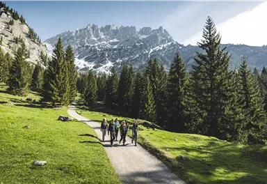 Eine Gruppe von Wanderern geht auf einem Pfad durch eine grüne Landschaft. Im Hintergrund sind hohe Berge mit Schnee zu sehen.