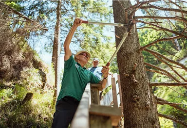 Zwei Personen arbeiten im Wald. Eine Person schneidet mit einer Säge Äste von einem Baum.