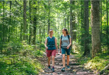 Two hikers walk along a narrow path through the woods. Surrounded by trees and green grass, they enjoy nature.