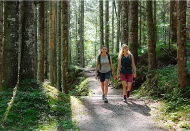 Two women are hiking on a forest path between tall trees. The sun shines through the canopy of leaves, creating a pleasant atmosphere.