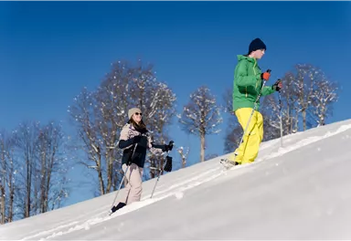 Two people are hiking on a snowy slope. The sky is clear and blue, surrounded by snow-covered trees.