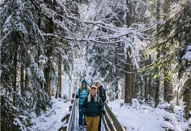 Eine Gruppe von Wanderern geht auf einem Holzsteg durch einen verschneiten Wald. Die Bäume sind mit Schnee bedeckt, und die Sonne scheint durch die Äste.