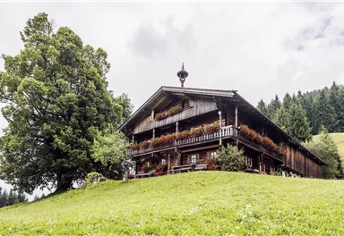 A traditional wooden house with flower boxes and a large tree next to it. The surroundings are a green meadow with gentle hills in the background.