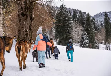 Eine Gruppe von Menschen wandert im Schnee, begleitet von mehreren Ziegen. Im Hintergrund sind verschneite Bäume und ein bewölkter Himmel zu sehen.