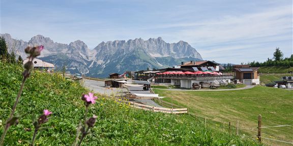 Eine malerische Landschaft mit grünen Wiesen und beeindruckenden Bergen im Hintergrund. Im Vordergrund befindet sich ein Gebäude, das für Besucher geeignet ist.