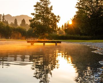 A tranquil lake at sunrise with gentle wisps of fog. A wooden platform extends into the water, surrounded by trees.