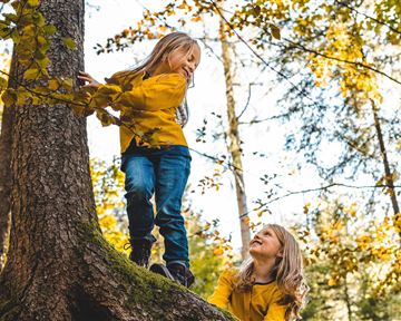 Zwei Kinder in gelben Pullovern spielen im Wald. Ein Mädchen klettert auf einen Baum, während das andere unten steht und lächelt.