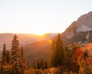 Ein atemberaubender Sonnenaufgang über den Bergen, umgeben von grünen Bäumen. Die Landschaft strahlt warme Farben im Licht der Morgensonne aus.