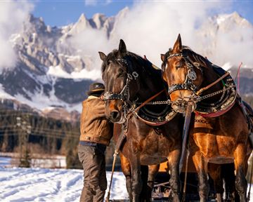 Zwei Pferde stehen im Schnee vor einer beeindruckenden Gebirgslandschaft. Ein Mann kümmert sich um die Pferde und die Sonne scheint auf die Szene.
