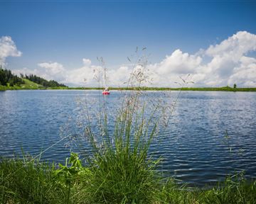 Ein ruhiger See umgeben von grünem Gras und Bäumen. Weiße Wolken ziehen am blauen Himmel vorbei, während ein kleines Boot auf dem Wasser fährt.