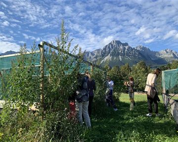 A group of people in a garden with tall plants and a clear sky. Impressive mountains are visible in the background.