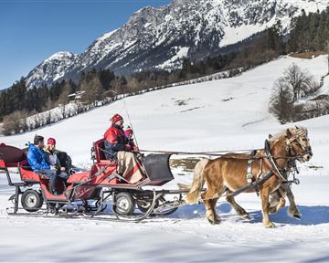 Eine Pferdeschlittenfahrt durch verschneite Landschaften. Im Hintergrund erheben sich beeindruckende Berge.