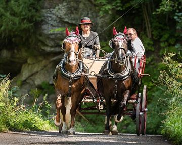 Two horses pull a carriage on a narrow path. In the background, green trees and rocks can be seen.