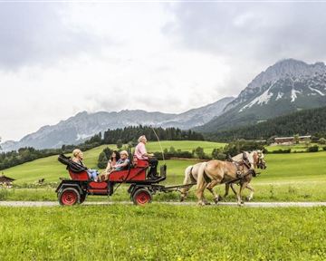 Eine Kutsche mit mehreren Passagieren fährt durch eine grüne Landschaft. Im Hintergrund sind Berge und ein bewölkter Himmel zu sehen.