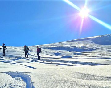 Three people are hiking on a snowy terrain. The sky is clear and the sun is shining brightly.