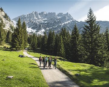 Eine Gruppe von Wanderern geht auf einem Pfad durch eine grüne Landschaft. Im Hintergrund sind hohe Berge mit Schnee zu sehen.