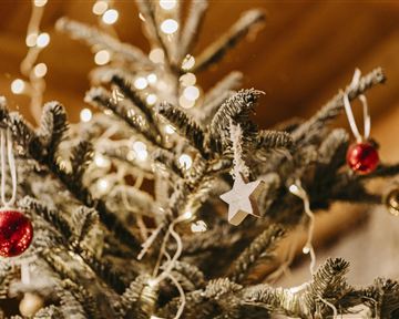 Ein festlich dekorierter Weihnachtsbaum mit roten Kugeln und einem weißen Stern. Lichter funkeln auf den Zweigen und schaffen eine gemütliche Atmosphäre.