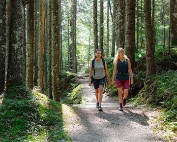 Two women are hiking on a forest path between tall trees. The sun shines through the canopy of leaves, creating a pleasant atmosphere.