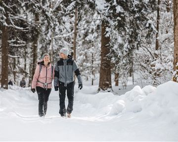 A couple is strolling leisurely through a snowy forest. The trees are covered in snow, and the atmosphere is wintry.