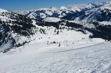 Eine schneebedeckte Berglandschaft mit vielen Bäumen und skifahrenden Menschen. Der Himmel ist klar und blau.