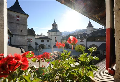 A picturesque view of a courtyard with historic buildings and towers. Red flowers in the foreground create an inviting atmosphere.