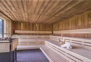 A modern sauna with wooden paneling and benches made of light wood. Through large windows, you can enjoy the view of nature.