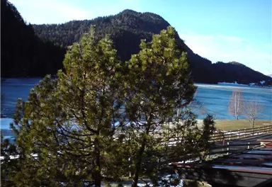 A calm lake surrounded by green trees and mountains. The water reflects nature and invites relaxation.