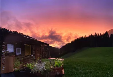 Ausblick