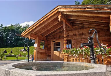 Ein traditionelles Holzhaus mit einem Brunnen vor der Haustür. Im Hintergrund sind grüne Wiesen und blühende Pflanzen.