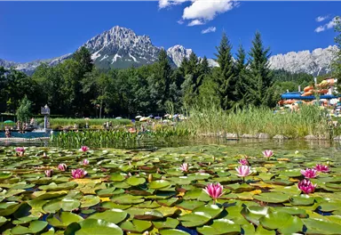 Eine malerische Landschaft mit einem Teich voller Seerosen und beeindruckenden Bergen im Hintergrund. Der Himmel ist klar und blau.