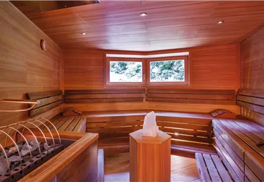 Biosoft Sauna