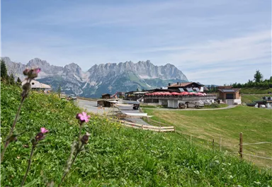 Eine malerische Berglandschaft mit grünen Wiesen und blühenden Blumen. Im Hintergrund sind beeindruckende Berge und einzelne Gebäude zu sehen.