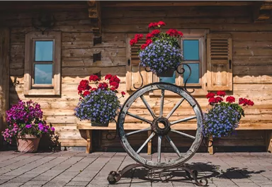 Blumen