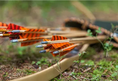 Eine Gruppe von Pfeilen mit bunten Federungen liegt auf dem Boden im Wald. Im Hintergrund ist ein Bogen zu sehen.