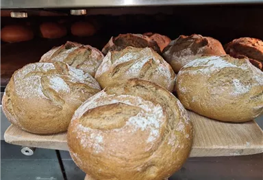 Brot