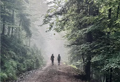 Two people are walking on a narrow forest path. The surroundings are mystical with fog and green trees.