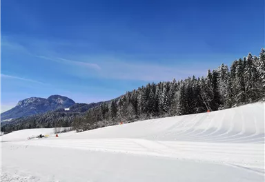 Eine winterliche Landschaft mit schneebedeckten Feldern und einem klaren blauen Himmel. Im Hintergrund sind Wälder und Berge zu sehen.