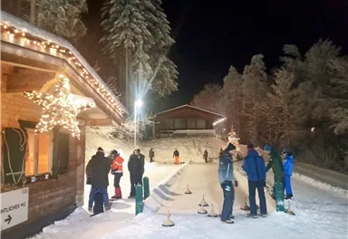 A winter scene with people active in the snow. In the background, festively illuminated trees and cottages can be seen.