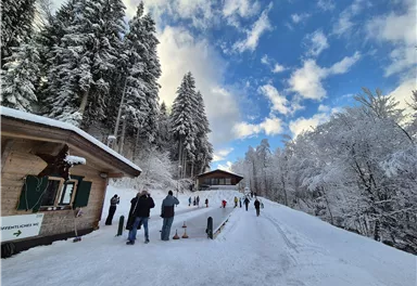 A snow-covered landscape with many trees and a blue sky. Some people are walking along the snowy path.