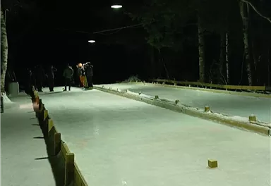 An illuminated ice rink at night, surrounded by trees. People are enjoying ice skating in a wintry atmosphere.