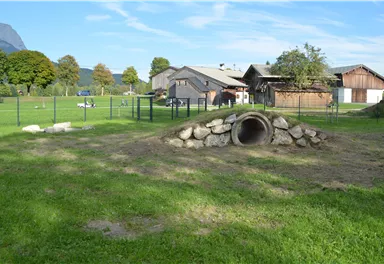 hundewiese_heimatmuseum.jpg