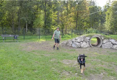 hundewiese_hund.jpg