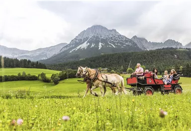 Ellmau_Kutschenfahrt Sommer 2_Wilder Kaiser
